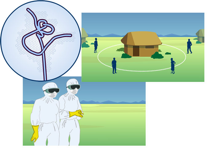 Ebola animation stills