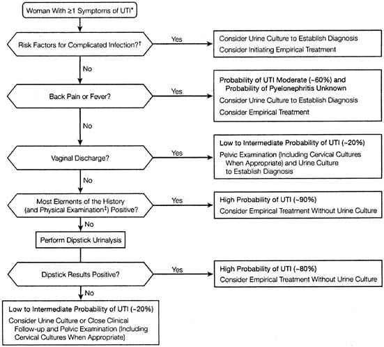 Levofloxacin - Wikipedia, the free.