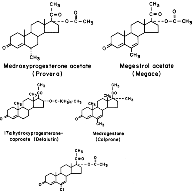 Progestational steroids with a structure based on progesterone.