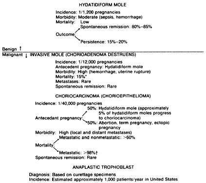 Generalized scheme of the continuum of gestational trophoblastic disease.