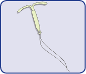 wow-l2-contraception-id10031-8330.png