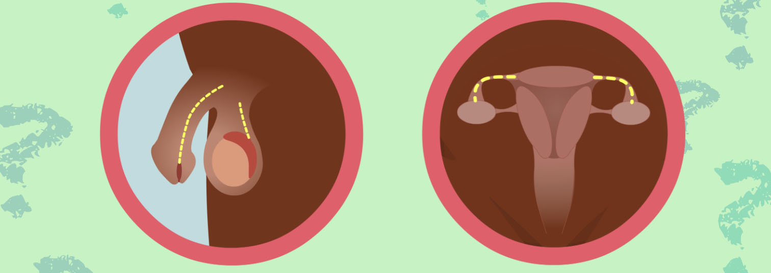 wow-l2-infertility-id10071-02.jpg