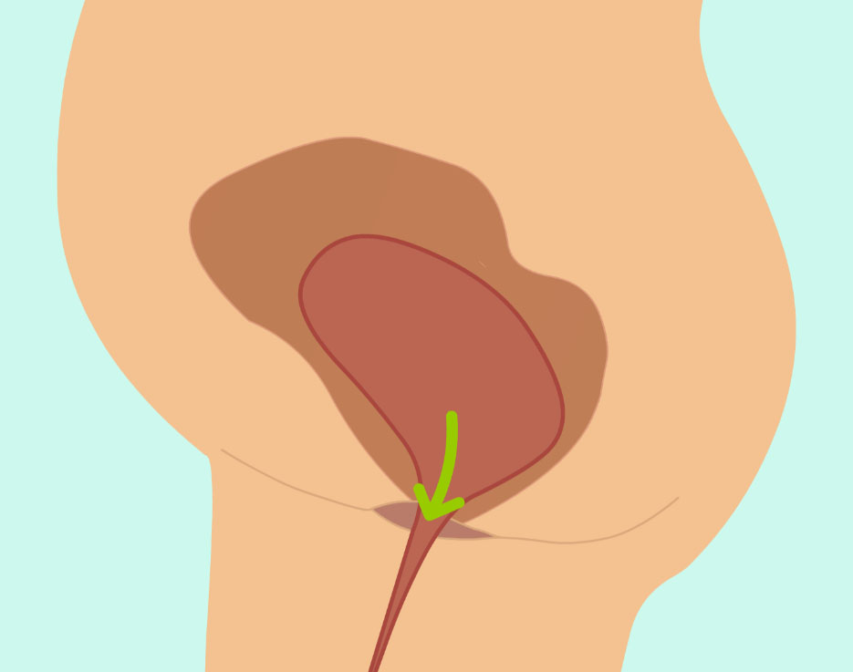 wow-l2-labor-and-birth-id10064-01c.jpg