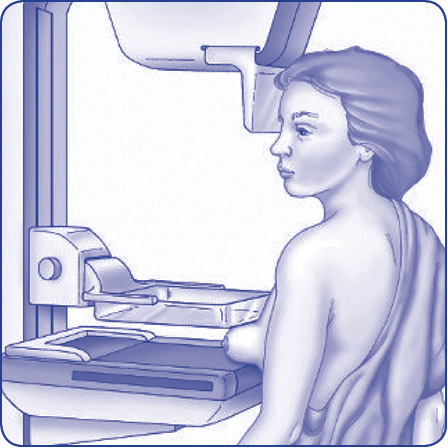wow-l2-understanding-breast-cancer-01.jpg