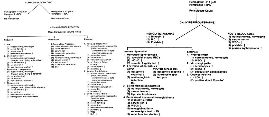 Blood Count Chart For Anemia