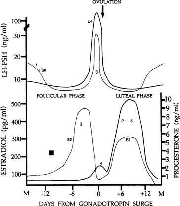 Luteinizing Hormone Range Chart