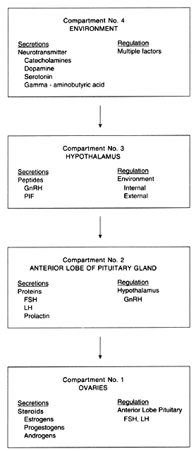 The Mechanism of Ovulation 001f