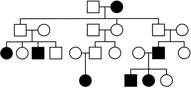 Prader Willi Syndrome Pedigree Chart